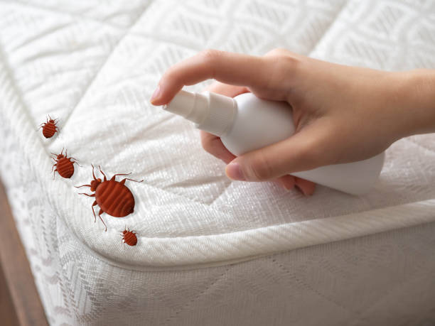 Pest Control Cost in Fresno, TX